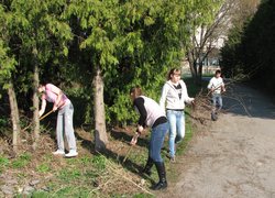 На кафедрі садово-паркового господарства відбувся суботник